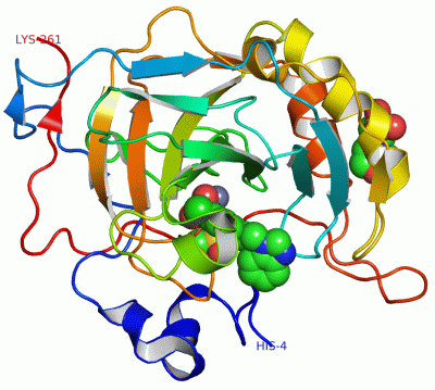 Image Asym./Biol. Unit - manually