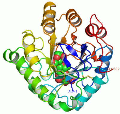 Image Asym./Biol. Unit - manually