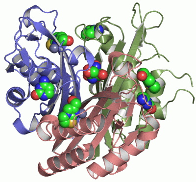 Image Asym./Biol. Unit - manually