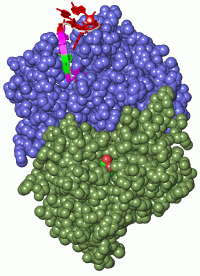 Image Asym./Biol. Unit - manually