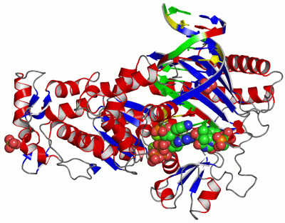 Image Asym./Biol. Unit - manually