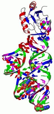 Image Asym./Biol. Unit - manually