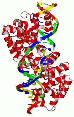 Image Asym./Biol. Unit - manually