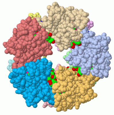 Image Biol.Unit 1 - manually