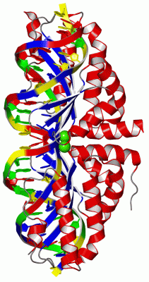 Image Asym./Biol. Unit - manually