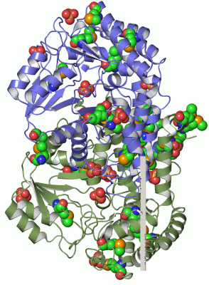 Image Asym./Biol. Unit - manually