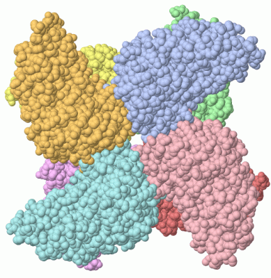 Image Biol.Unit 1 - manually