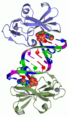 Image Asym./Biol. Unit - manually