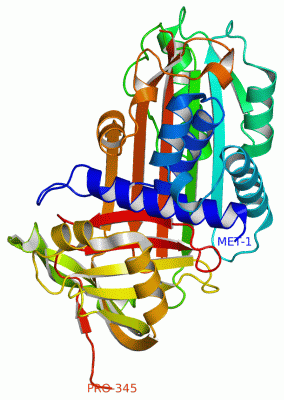 Image Biol.Unit 1 - manually