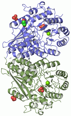 Image Asym./Biol. Unit - manually