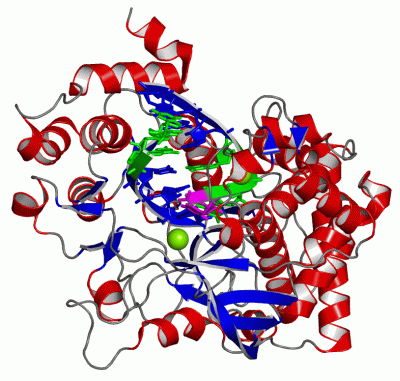 Image Asym./Biol. Unit - manually