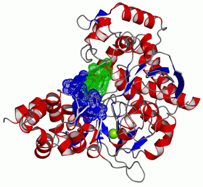 Image Asym./Biol. Unit - manually