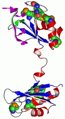 Image Asym./Biol. Unit - manually