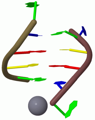 Image Biol.Unit 1 - manually