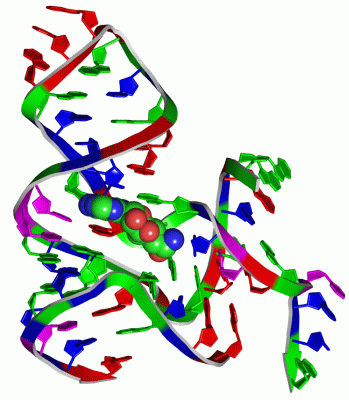 Image Asym./Biol. Unit - manually