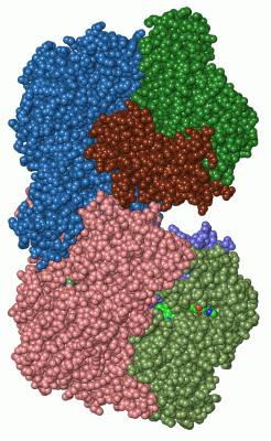 Image Asym./Biol. Unit - manually