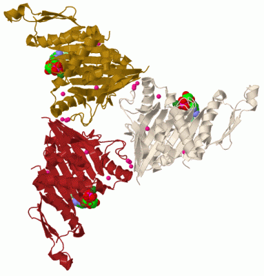 Image Biol.Unit 1 - manually