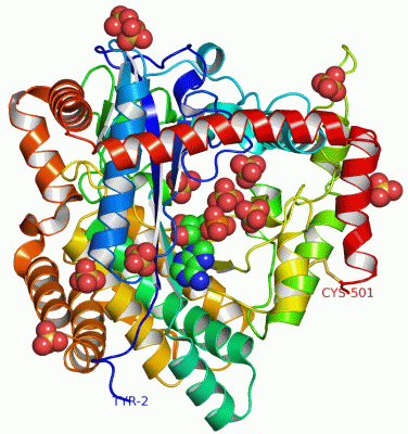 Image Asym./Biol. Unit - manually