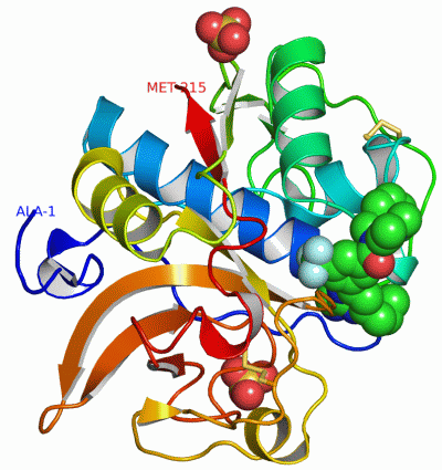 Image Asym./Biol. Unit - manually