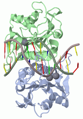 Image Biol.Unit 1 - manually