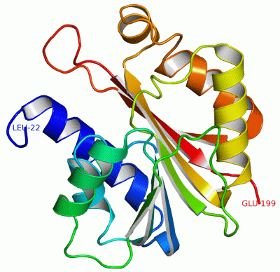 Image Asym./Biol. Unit - manually