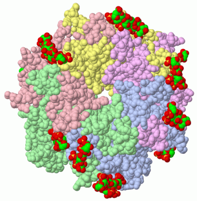 Image Biol.Unit 1 - manually