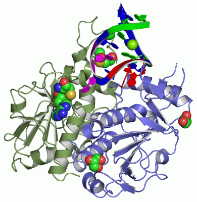 Image Asym./Biol. Unit - manually