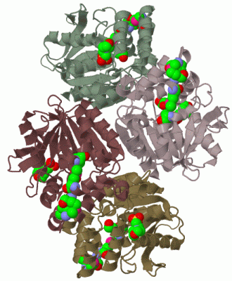 Image Biol.Unit 1 - manually