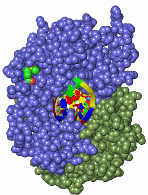 Image Asym./Biol. Unit - manually