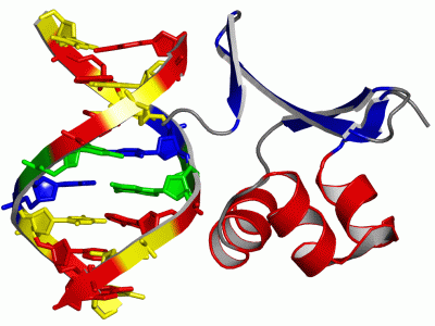 Image Asym./Biol. Unit - manually