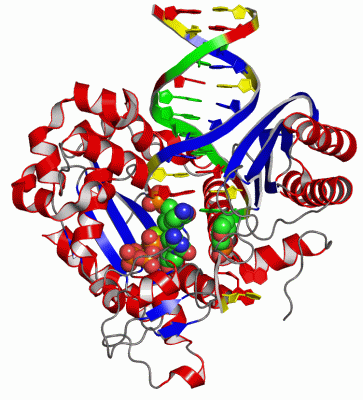 Image Asym./Biol. Unit - manually