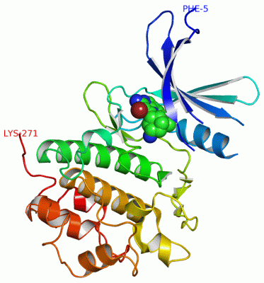 Image Asym./Biol. Unit - manually