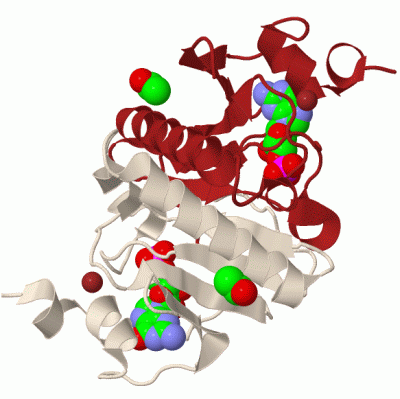 Image Biol.Unit 1 - manually