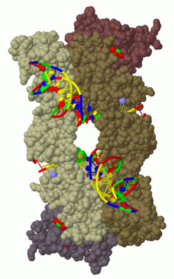 Image Biol.Unit 1 - manually