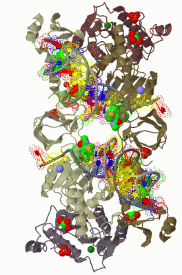 Image Biol.Unit 1 - manually