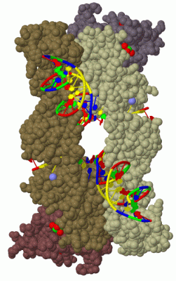 Image Biol.Unit 1 - manually