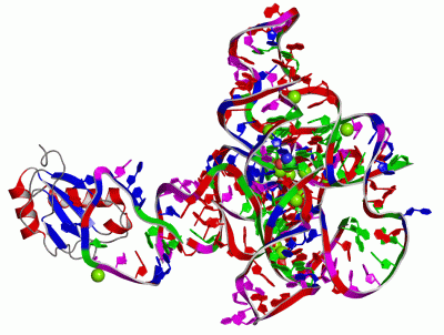 Image Asym./Biol. Unit - manually