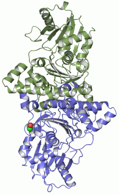 Image Asym./Biol. Unit - manually