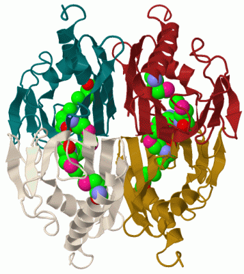 Image Biol.Unit 1 - manually