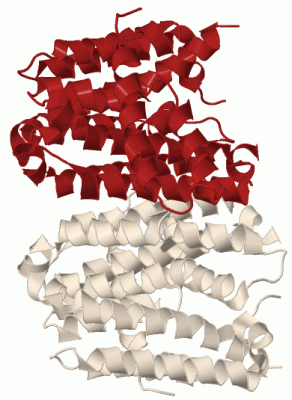 Image Biol.Unit 1 - manually