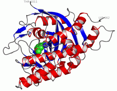 Image Asym./Biol. Unit - manually