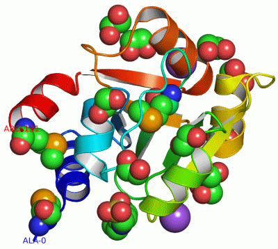 Image Asym./Biol. Unit - manually