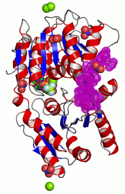 Image Asym./Biol. Unit - manually