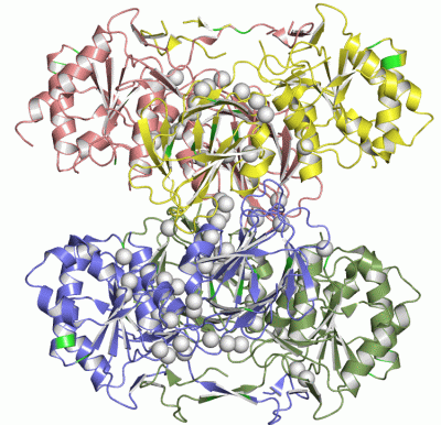 Image Asym./Biol. Unit - manually