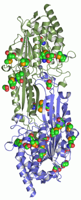 Image Asym./Biol. Unit - manually