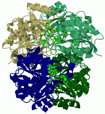 Image Asym./Biol. Unit - manually