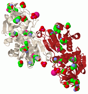 Image Biol.Unit 1 - manually