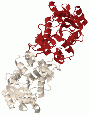 Image Biol.Unit 1 - manually