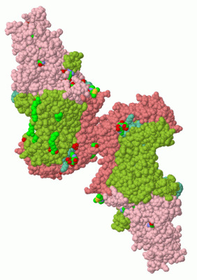 Image Biol.Unit 1 - manually