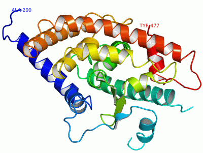 Image Asym./Biol. Unit - manually